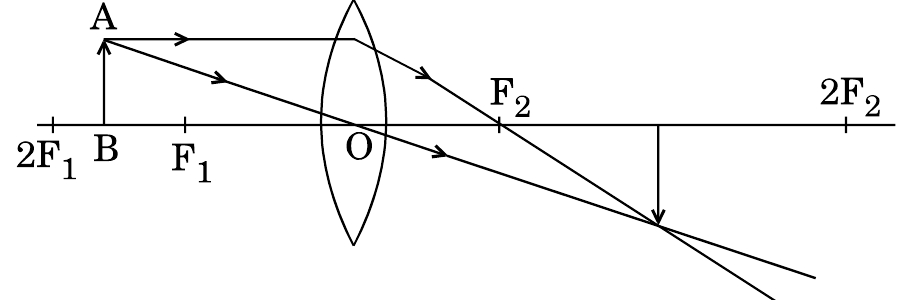 Figure for the question