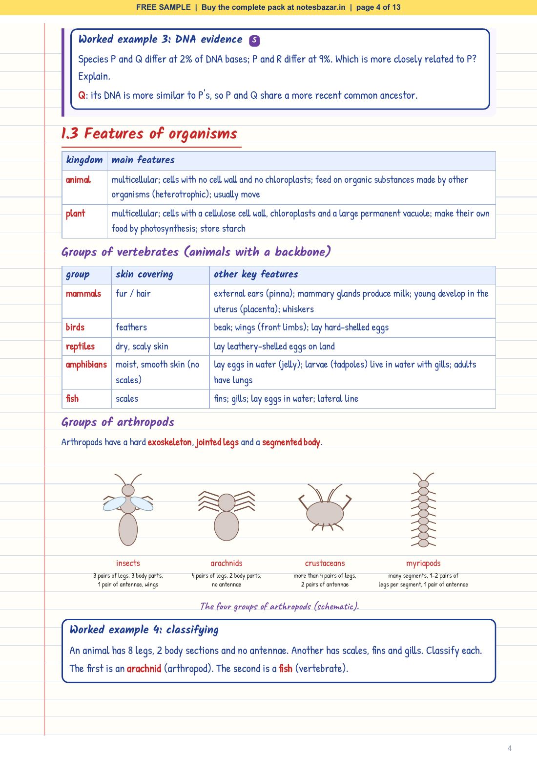 Sample page 4 of 13