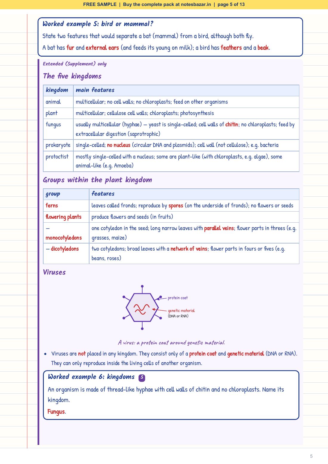 Sample page 5 of 13