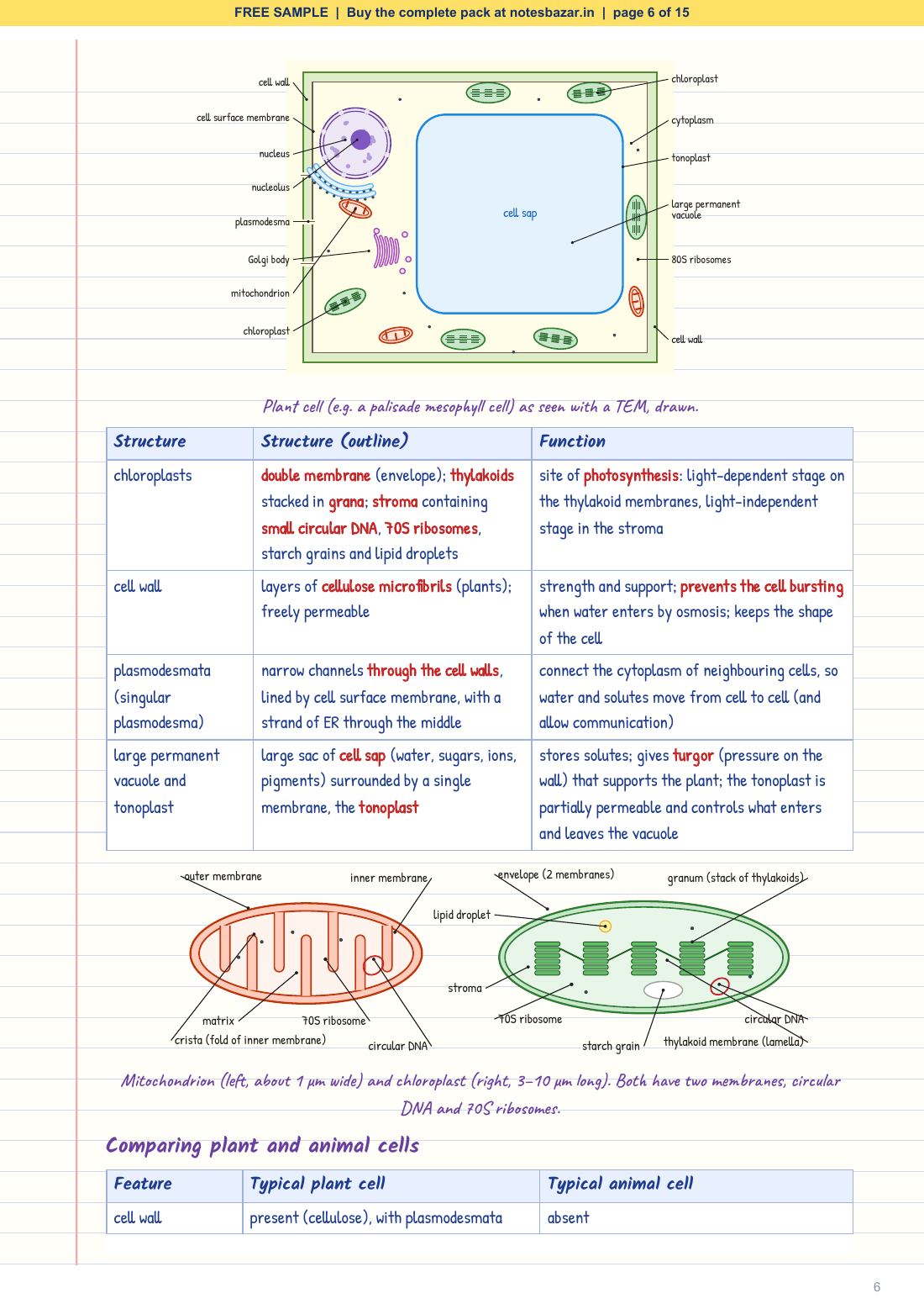 Sample page 6 of 15