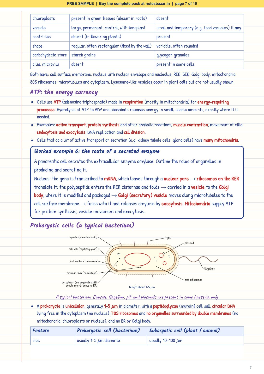 Sample page 7 of 15