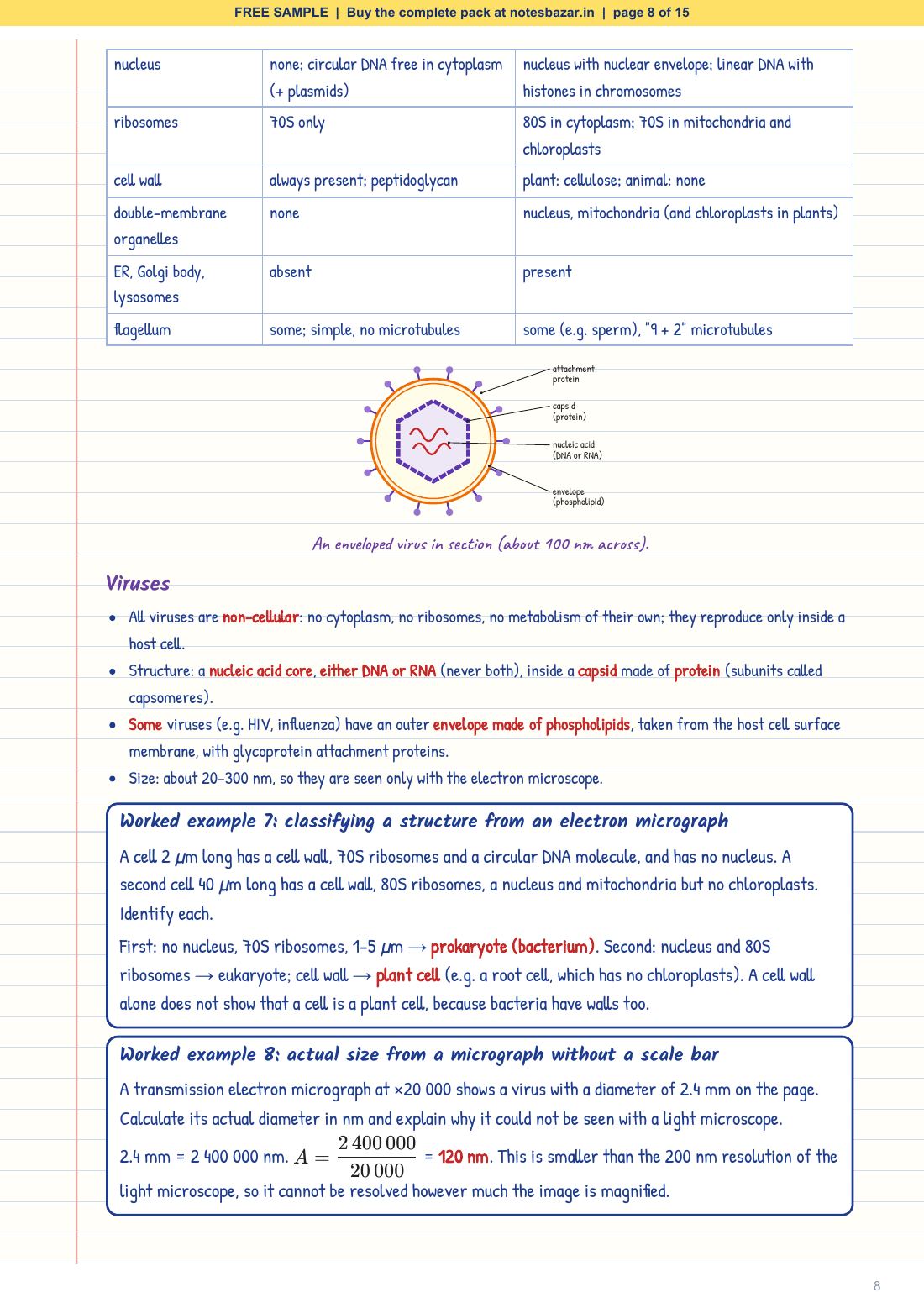 Sample page 8 of 15