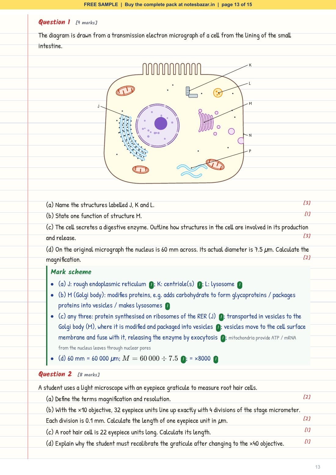 Sample page 13 of 15