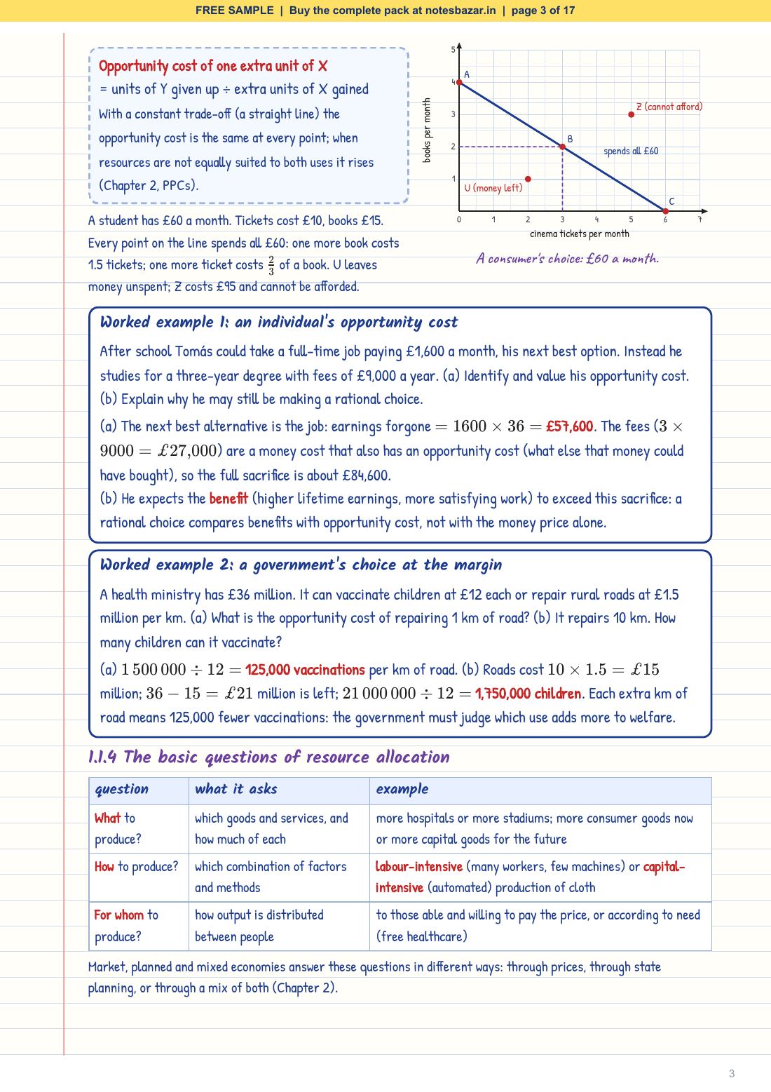 Sample page 3 of 17