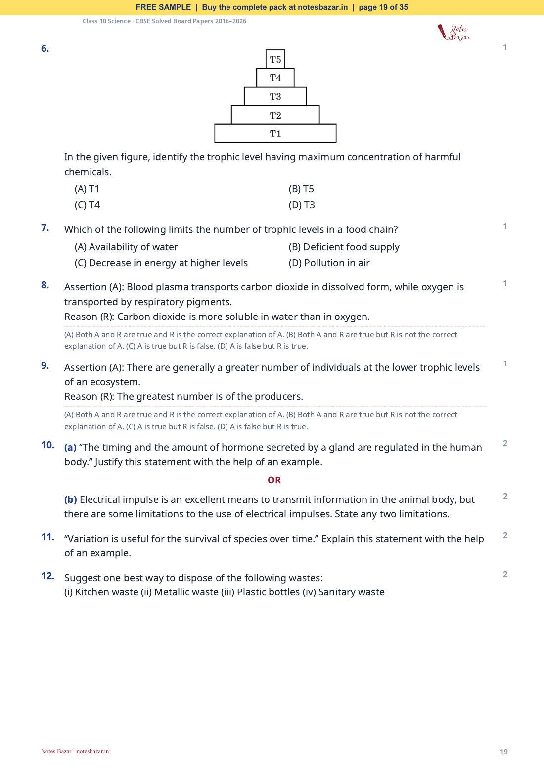Sample page 19 of 35
