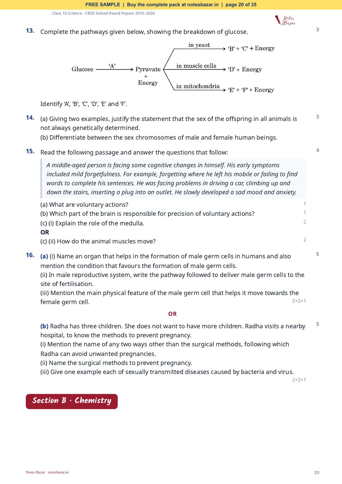 Sample page 20 of 35