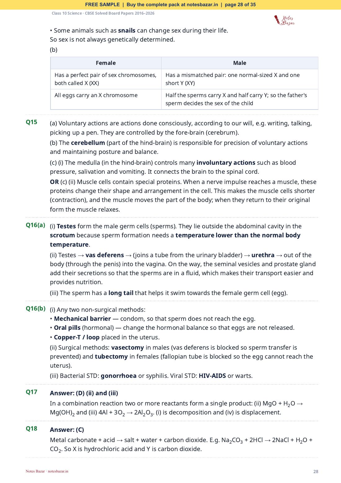 Sample page 28 of 35