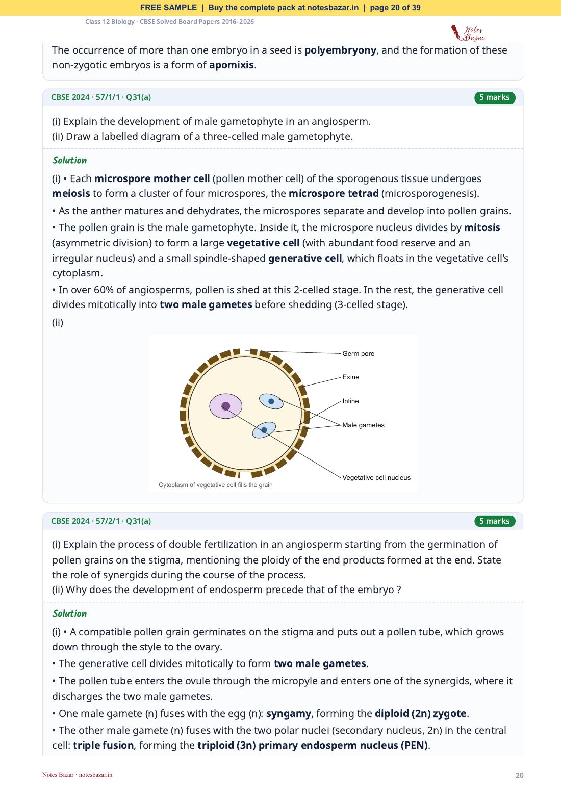 Sample page 20 of 39