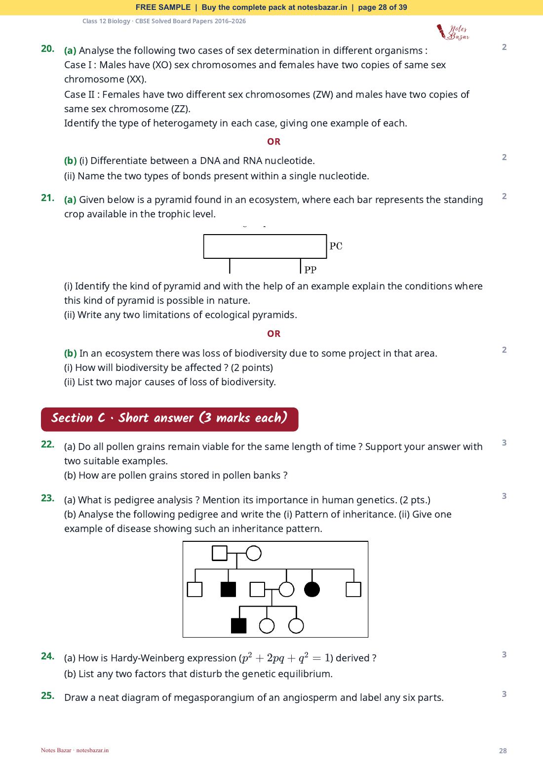 Sample page 28 of 39