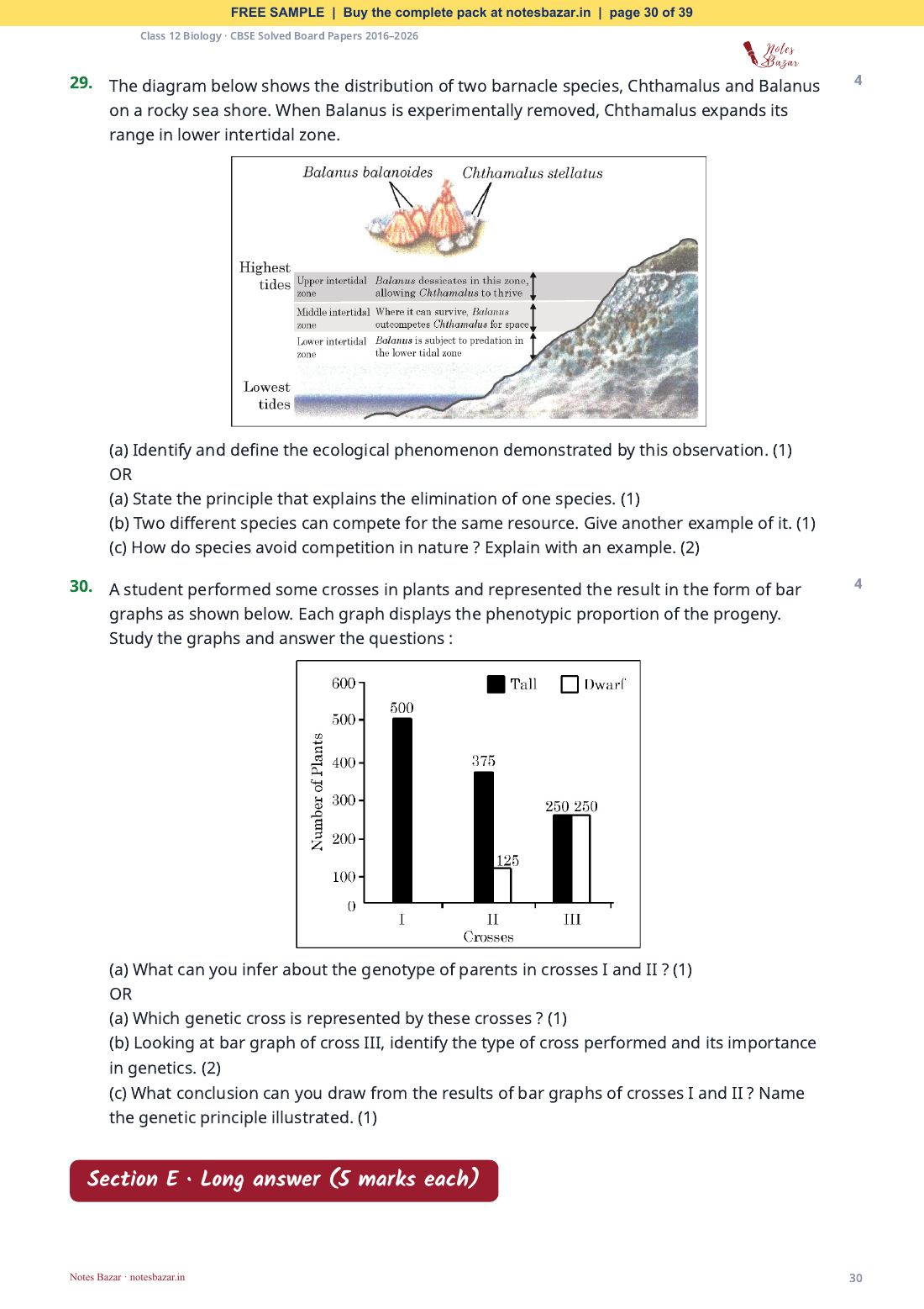 Sample page 30 of 39