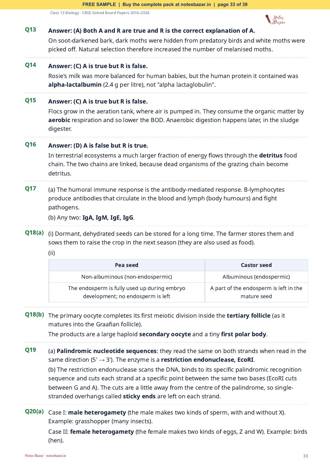 Sample page 33 of 39