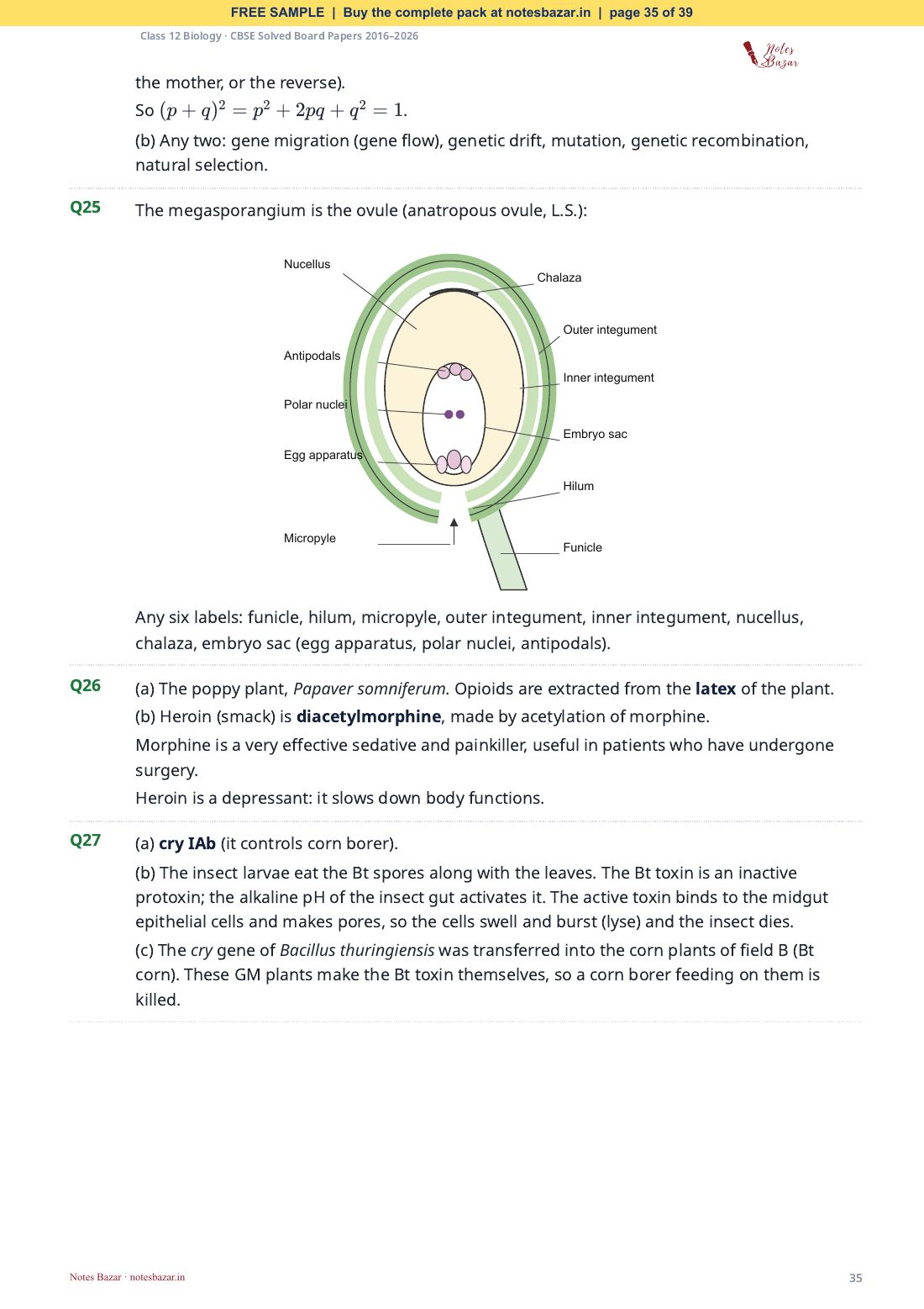 Sample page 35 of 39